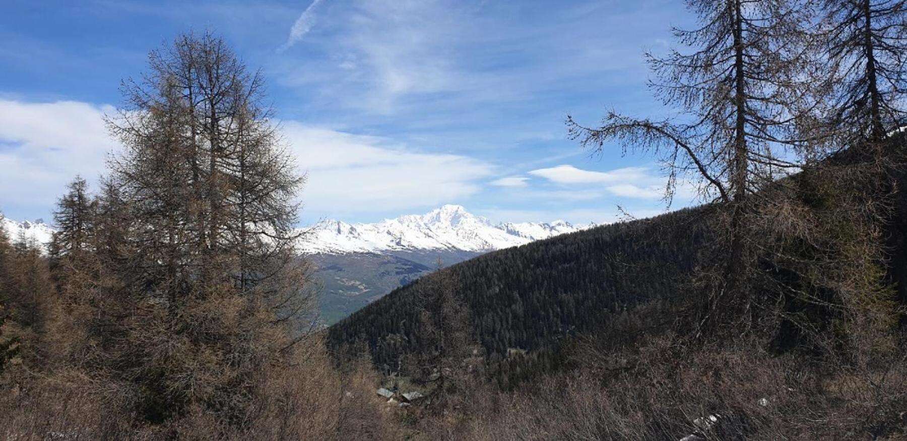 Residence Plagne Lauze - Maeva Home - Appartement 2 Pieces 5 Personnes - Confort Mae-9202 Macot-la-Plagne Eksteriør billede